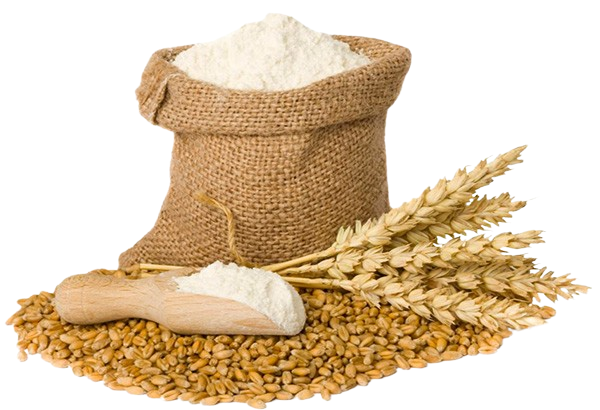 Wheat Flour