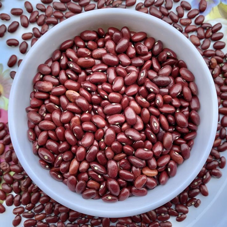 Rajma Packet
